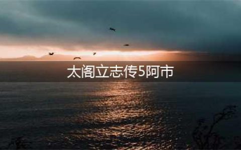 《太阁立志传5 DX》阿市下嫁触发方法