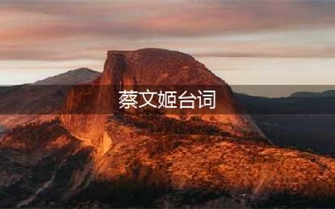 王者荣耀蔡文姬会说哪些台词 蔡文姬台词大全(蔡文姬台词)