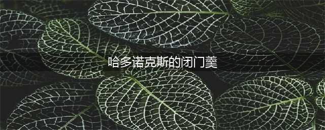《魔兽世界》怀旧服WLK哈多诺克斯的闭门羹成就获得方法