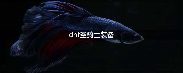 《DNF》男圣骑100级最强毕业装备搭配2022(dnf圣骑士装备)