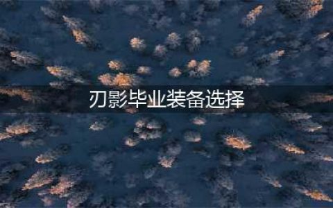 dnf刃影毕业装备选择(刃影毕业装备选择)