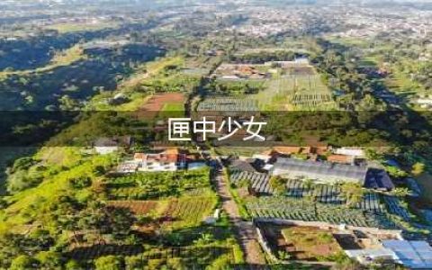 《决战平安京》匣中少女怎么样 技能效果介绍(匣中少女)