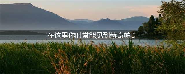 哈利波特拼图寻宝10.11:在这里你时常能见到赫奇帕奇学院的院长