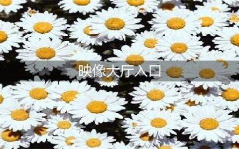 魔兽世界映像大厅入口在什么位置