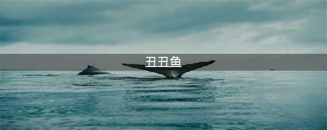 宝可梦剑盾丑丑鱼在哪 丑丑鱼位置介绍