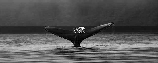 《一起来捉妖》水猴子怎么样 水猴子技能属性详解(水猴)
