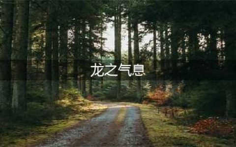《龙之气息》龙特点分析 打法攻略分享(龙之气息)