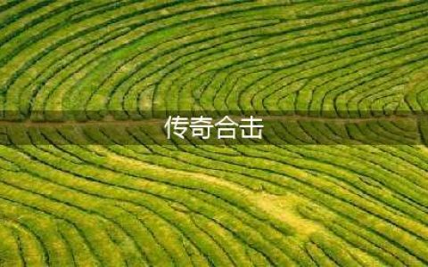 传奇合击手游排行榜前十名2021 传奇合击手游有哪些好玩(传奇合击)