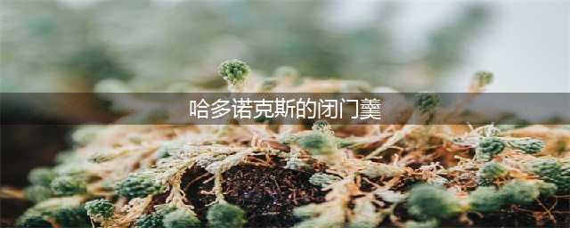 《魔兽怀旧服》80级艾卓尼鲁布副本成就完成方法