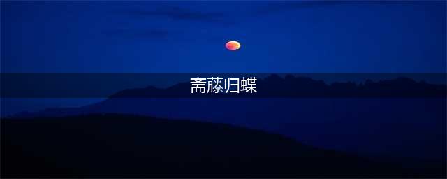 《无双战国》人物解谜：战国三夫人之浓姬(斋藤归蝶)