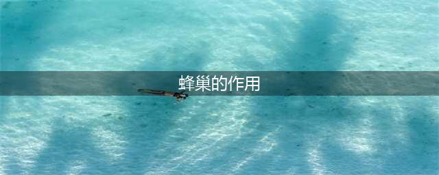 《饥荒》蜂巢作用一览 蜂巢作用是什么(蜂巢的作用)