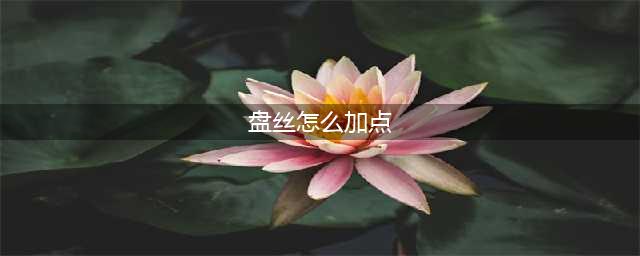 《神武4》盘丝岭怎么加点 盘丝岭加点分享(盘丝怎么加点)