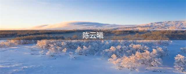 梦之队梦想组合：全红婵陈云曦压倒性获得女子花样10米跳台冠军(陈云曦)