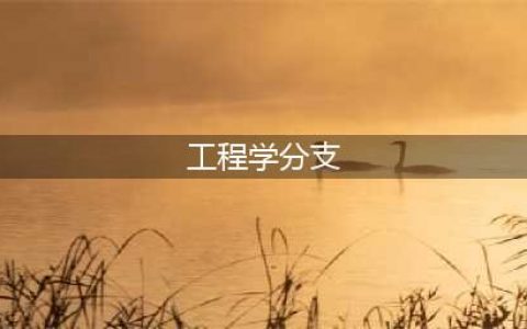 《魔兽世界怀旧服》完美工程学怎么升级 完美工程学升级指南(工程学分支)