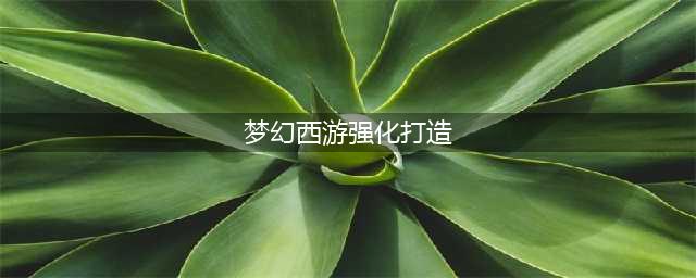 《梦幻西游三维版》装备怎么强化打造 装备强化打造攻略(梦幻西游强化打造)
