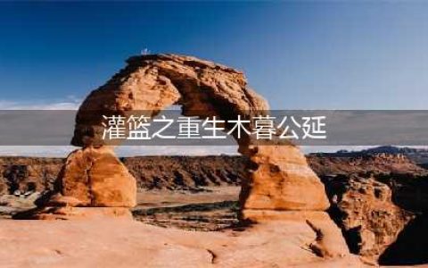 《灌篮高手》木暮公延技能进阶揭秘(灌篮之重生木暮公延)