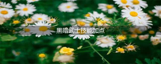 dnf黑暗武士怎么加点 黑暗武士技能加点推荐