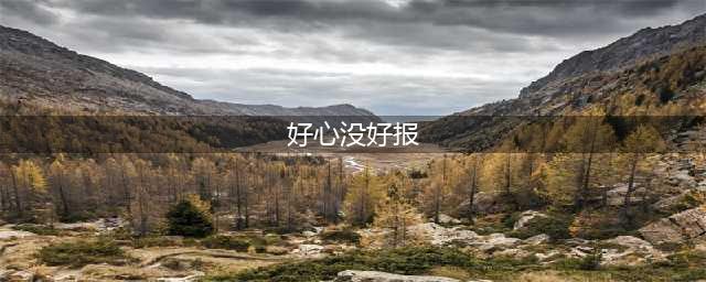 《荒野大镖客2》好心没好报任务怎么过 好心没好报任务完成方法详解(好心没好报)