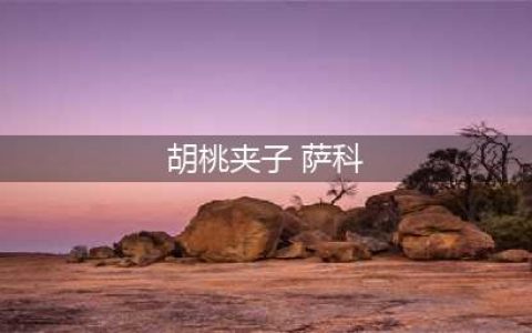 胡桃夹子萨科很稀有吗(胡桃夹子 萨科)