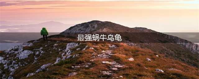 《最强蜗牛》乌龟攻略 乌龟特点分析(最强蜗牛乌龟)
