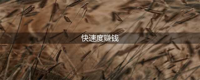 《荒野大镖客2》怎么快速度赚钱 快速度赚钱方法介绍(快速度赚钱)