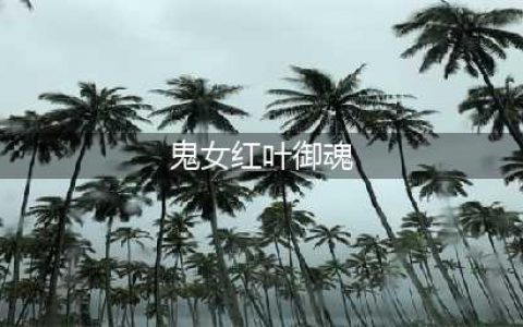 阴阳师鬼女红叶御魂怎么搭配 鬼女红叶御魂搭配2022