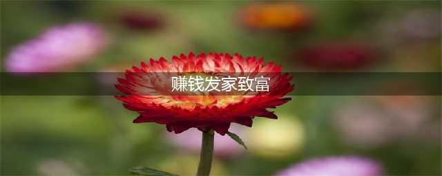当代人生怎么赚钱 发家致富技巧分享(赚钱发家致富)