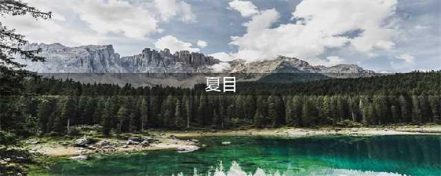 2022夏目的美丽日记游戏下载 夏目的美丽日记手机版游戏下载(夏目)