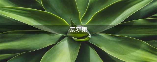 《魔兽世界》怀旧服WLK泰罗果位置介绍