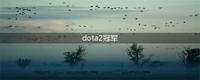 Dota2 Ti9冠军是谁 Ti9总决赛战报与冠军战队(dota2冠军)