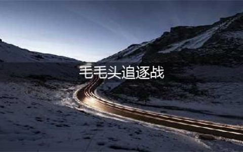 摩尔庄园手游毛毛头追逐战攻略 毛毛头追逐战完成方法教程