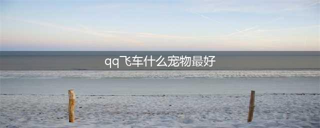 qq飞车宠物排行 有哪些比较受欢迎的(qq飞车什么宠物最好)