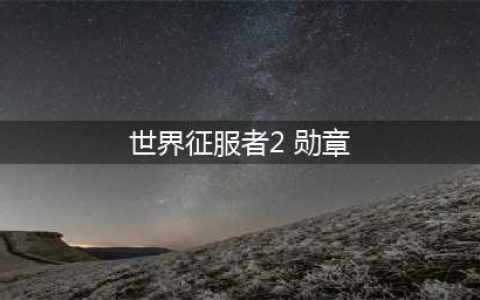 世界征服者2勋章作用一览
