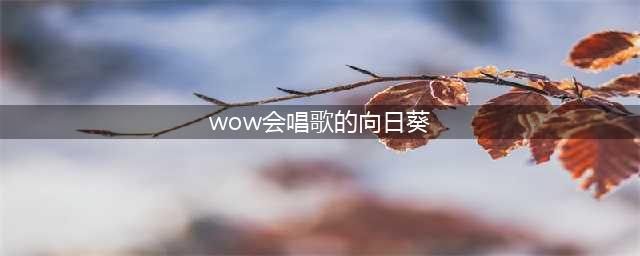 那个会唱歌的向日葵哪里来得?