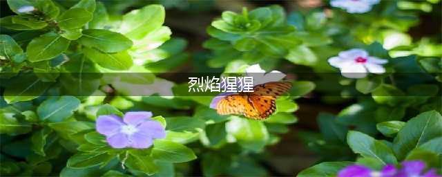 赛尔计划烈焰猩猩厉害吗 烈焰猩猩强度分析