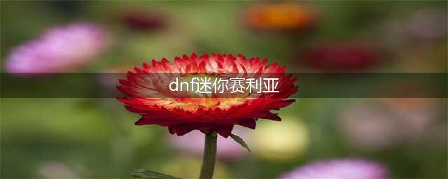 《DNF》迷你冲浪赛丽亚宠物怎么得 迷你冲浪赛丽亚宠物获得攻略(dnf迷你赛利亚)
