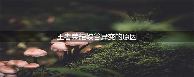 王者荣耀峡谷异变的原因是什么 峡谷异变真正原因分析(王者荣耀峡谷异变的原因)