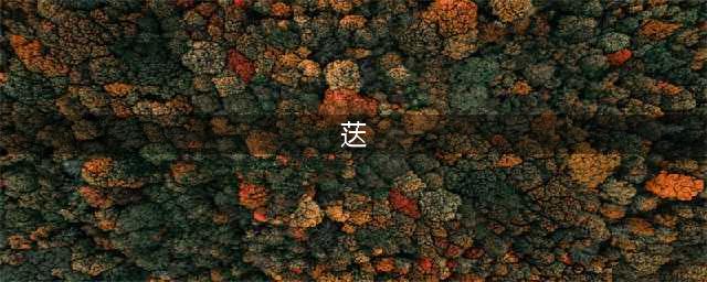 《碧蓝航线》荙厉害吗 荙角色属性资料wiki(荙)