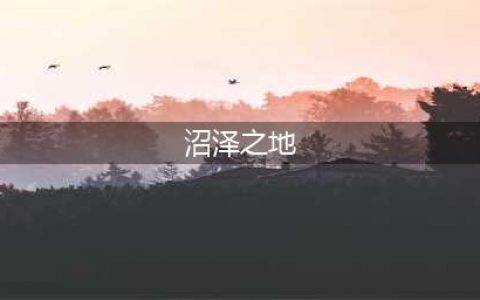 《超级精灵手表》沼泽之地位置全介绍 沼泽之地在哪里(沼泽之地)