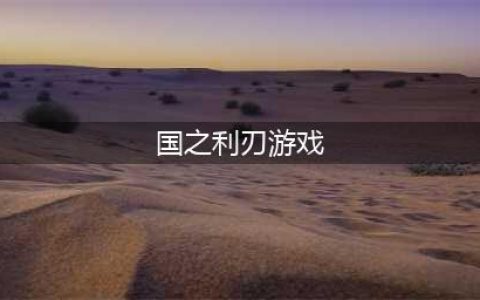 《光荣使命》武器国之利刃怎么样 武器国之利刃介绍