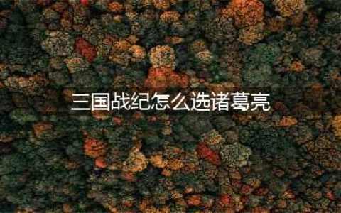 《三国战纪群雄逐鹿》诸葛亮怎么选 诸葛亮选取方法介绍(三国战纪怎么选诸葛亮)