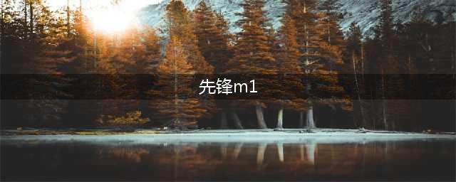 《使命召唤18先锋》M1加兰德枪械一览(先锋m1)