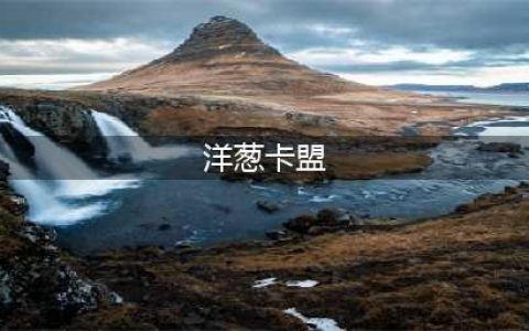《洋葱骑士团》钻石兑换码永久有效一览