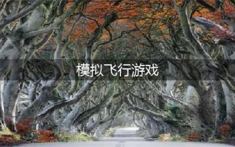 2021有哪些好玩的飞行模拟游戏 十款飞行模拟游戏排行榜合集推荐(模拟飞行游戏)