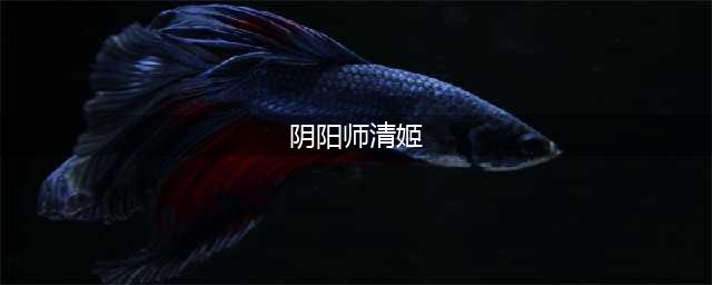 阴阳师清姬御魂搭配攻略 阴阳师清姬御魂选择推荐