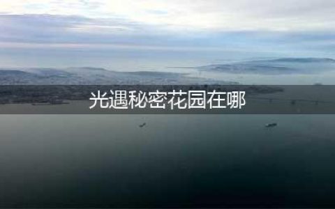 光遇秘密花园在哪
