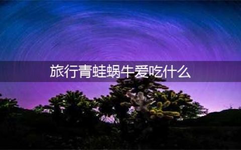 《旅行青蛙》蜗牛喜欢吃什么汇总 蜗牛食物喜好介绍