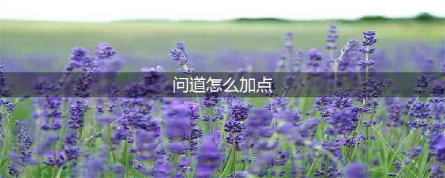 《问道》不同系职业怎么加点 各系职业加点攻略(问道怎么加点)