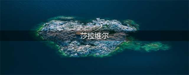 《非匿名指令》莎拉维尔介绍