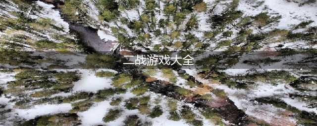 真实的二战游戏排行榜前十名2021 二战真实战争游戏合集(二战游戏大全)